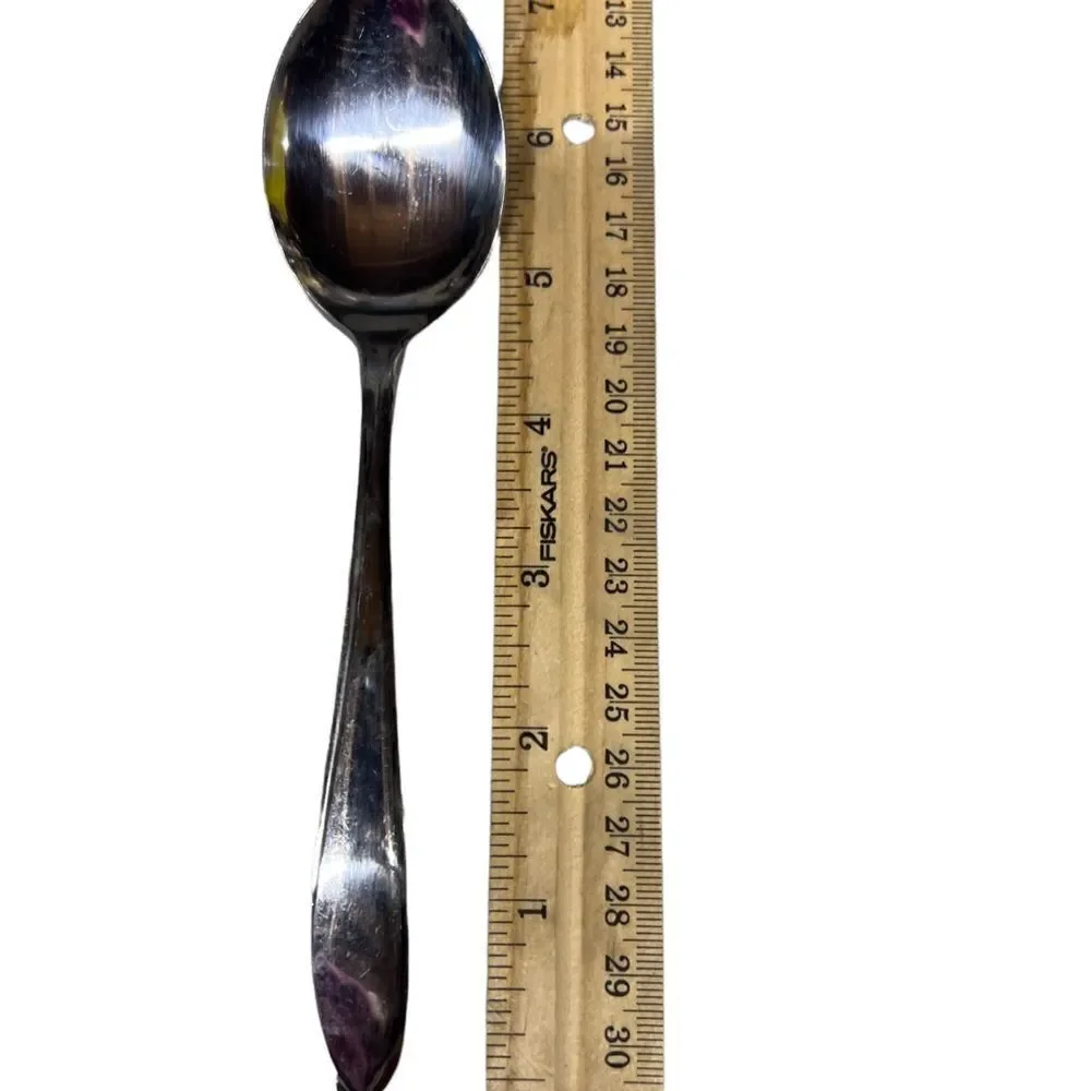 Adore by Hull Dorzel Stainless spoons set of 7